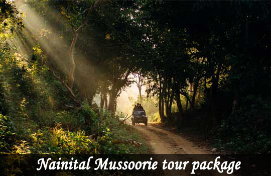 Special student package for Nainital Mussoorie Tour Packages